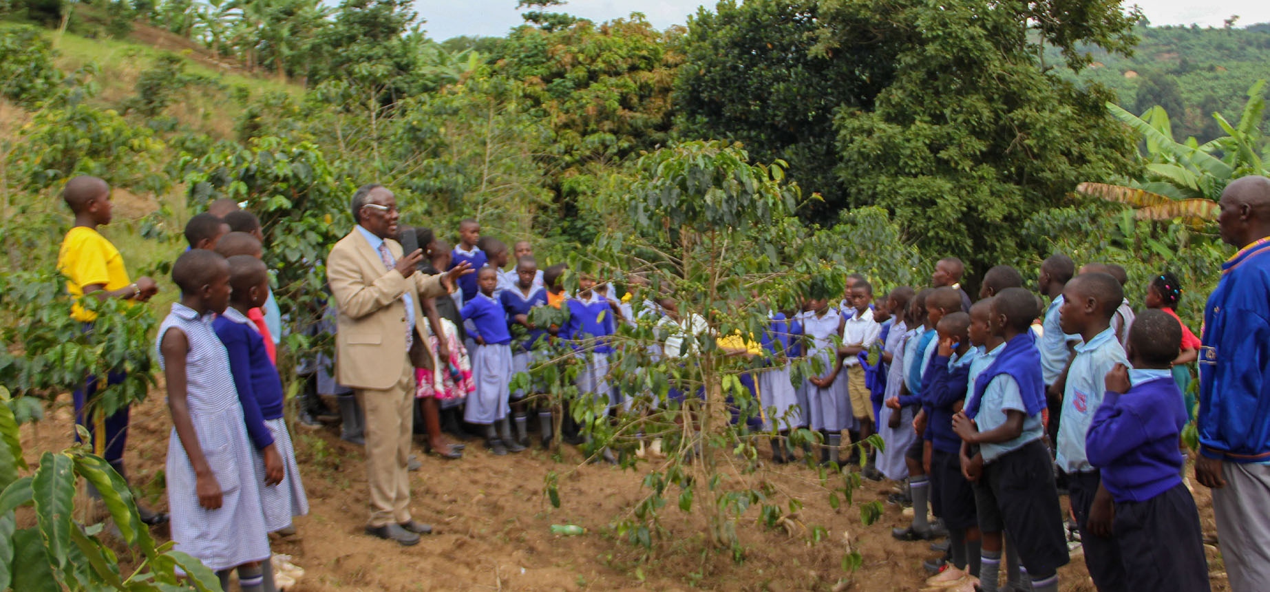 Nyakabungo PPS Coffee inspection